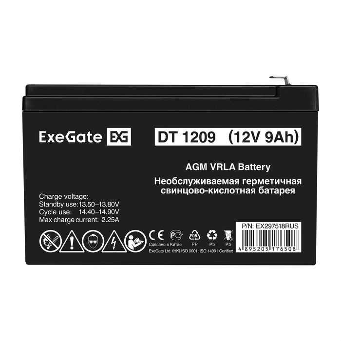  ExeGate DT 1209