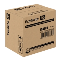  ExeGate DT 1255